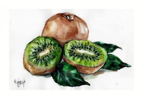 Киви в разрезе