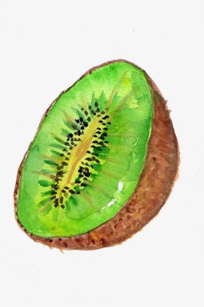Акварельная живопись фрукты киви