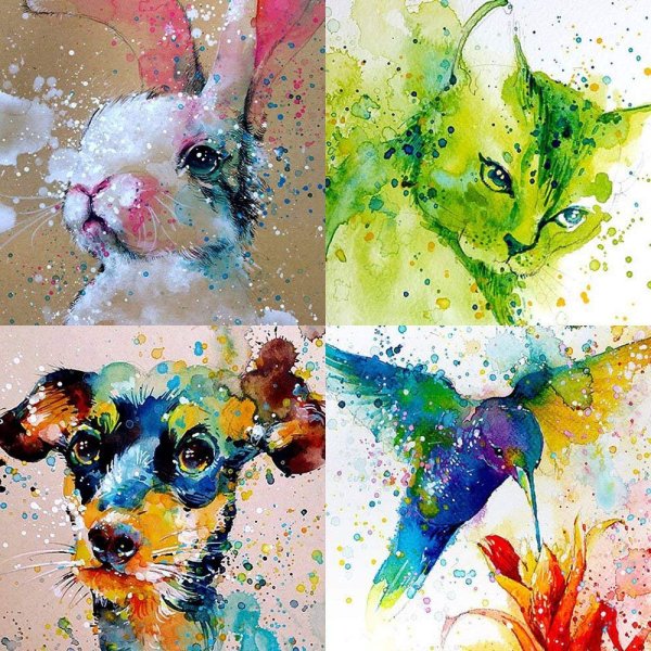 Разноцветные Жирафы