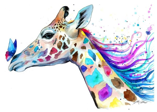 Животные в красках