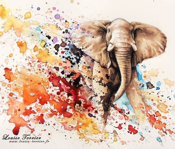 Слоны акварелью