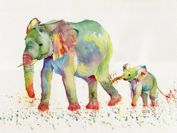 Акварельный Слоник