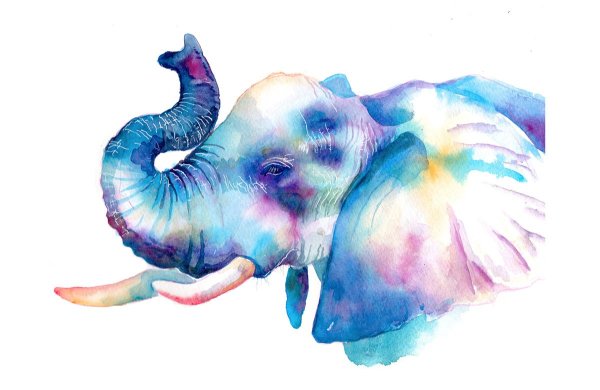 Разноцветный слон