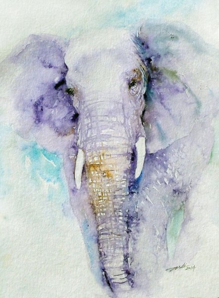 Слон акварелью