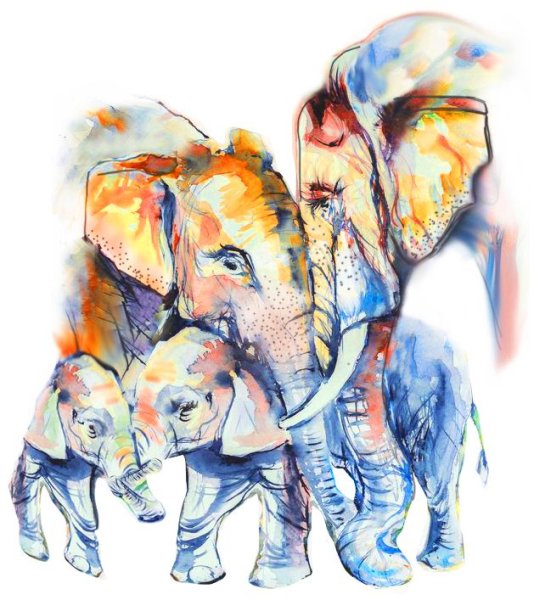 Семья слонов