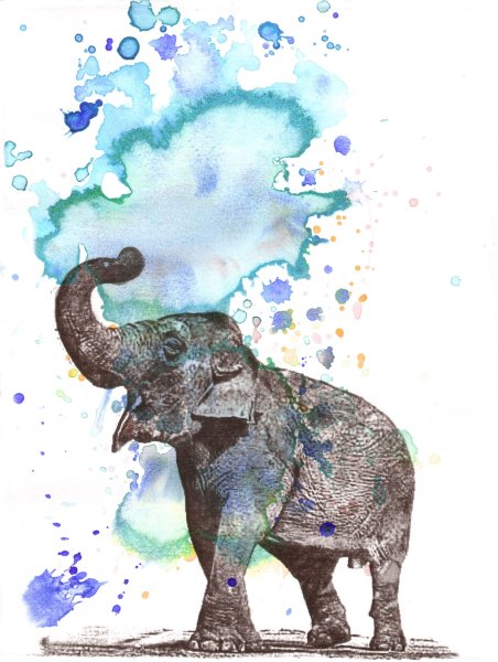 Слон акварелью