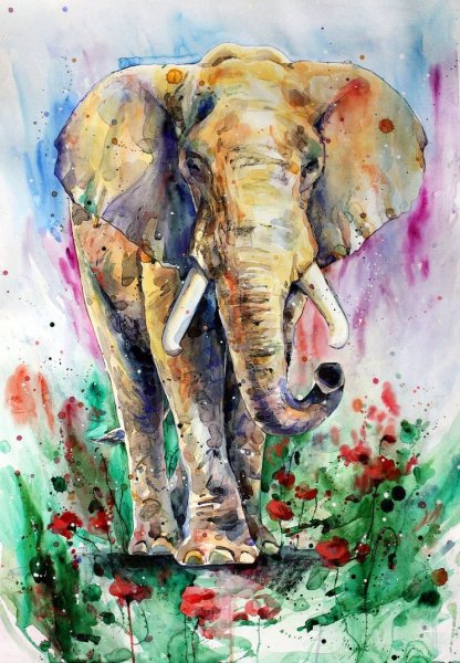 Интересные рисунки акварелью