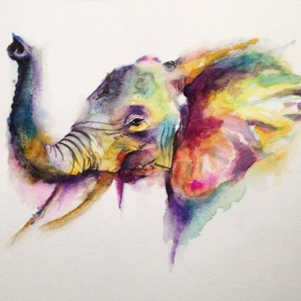 Экзотическое животное акварель