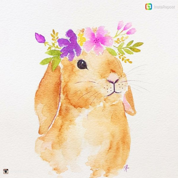 Кролик с цветами акварель