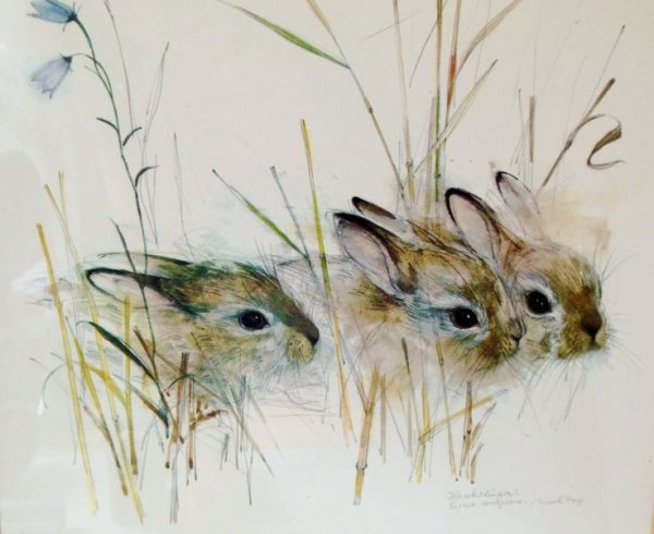 Кролик акварель