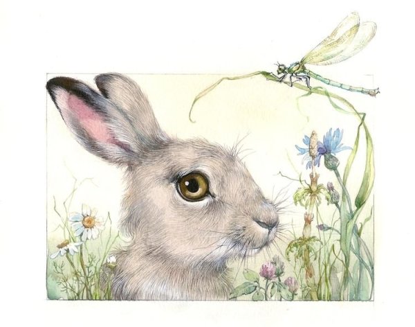 Акварельный зайчик