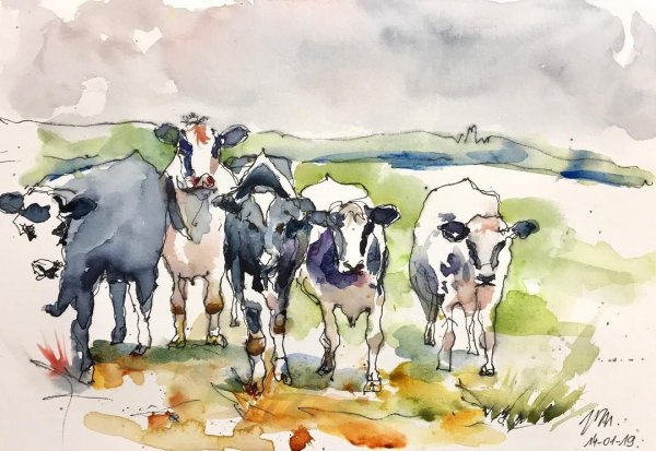 Корова акварелью
