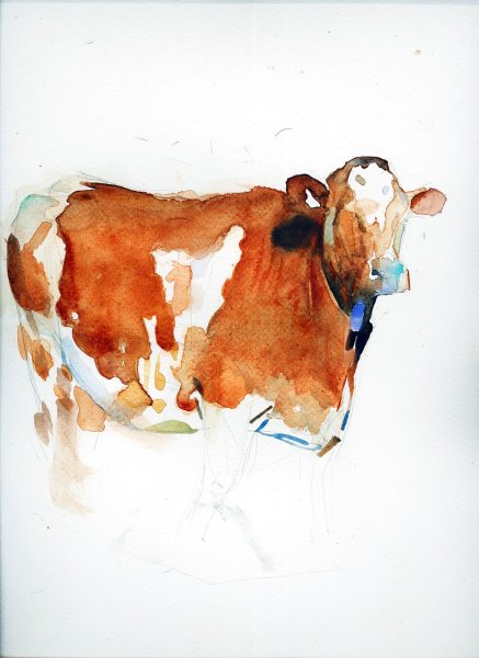 Корова акварелью