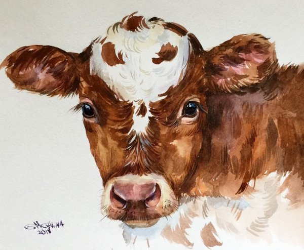 Теленок живопись