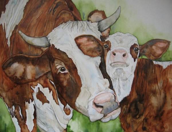 Деревенские коровы акварель