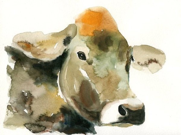 Корова акварелью