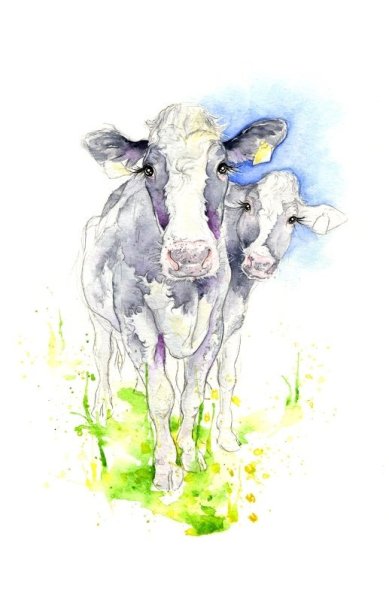 Зарисовки коров акварелью