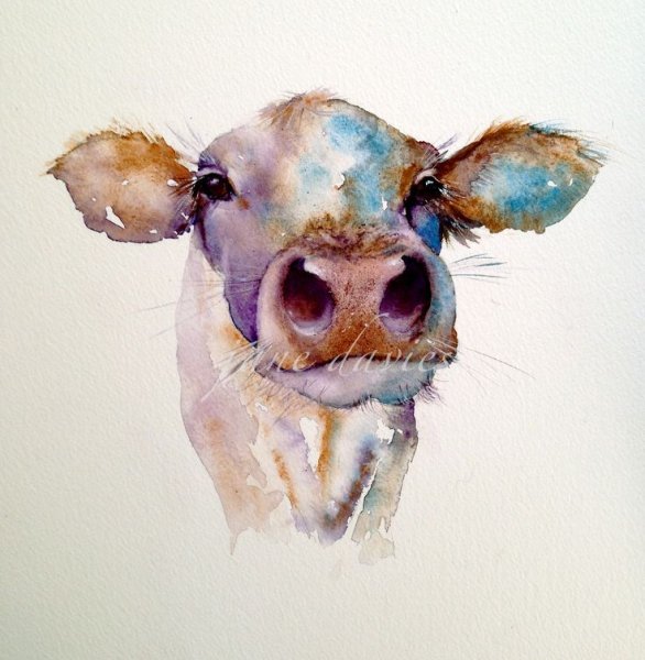 Морды животных акварелью