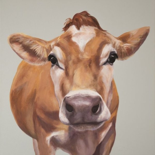 Портрет коровы