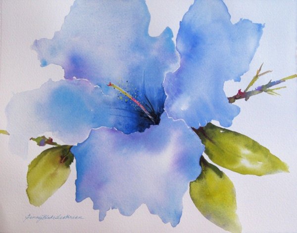 Акварель по СЫРОМЦВЕТЫ