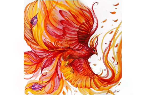 Феникс арты