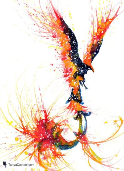 Феникс акварель эскиз