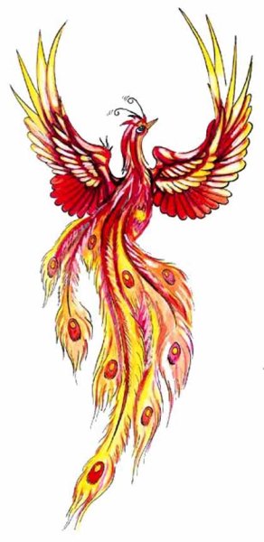 Хвост Жар птицы