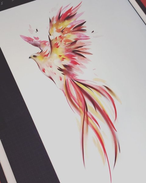 Птица Феникс тату эскизы цветные