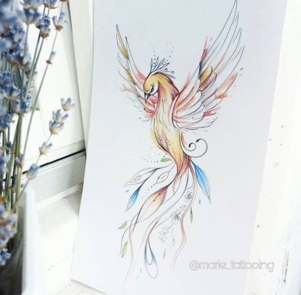 Феникс в акварельном стиле