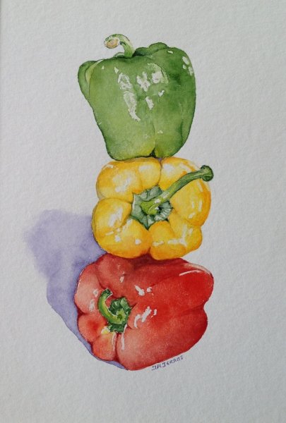 Баклажан акварелью