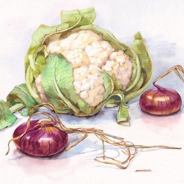 Катарина Кляйн груши