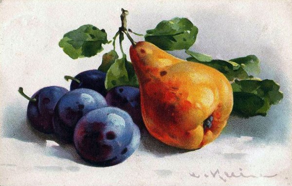 Скетчинг фрукты