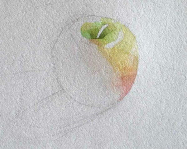 Яблоко акварелью пошагово
