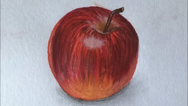 Яблоко для рисования с натуры