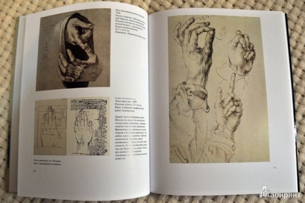 Дюрер акварели и рисунки книга