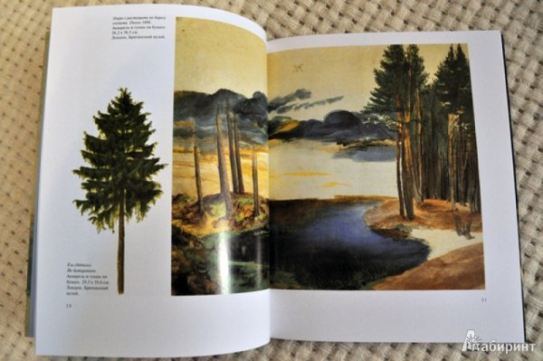 Альбрехт Дюрер акварели и рисунки