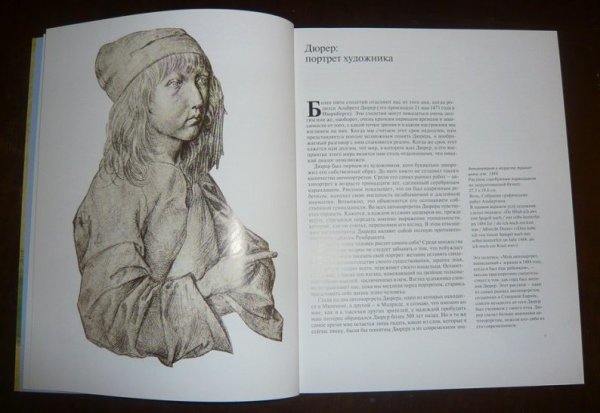 Альбрехт Дюрер заяц