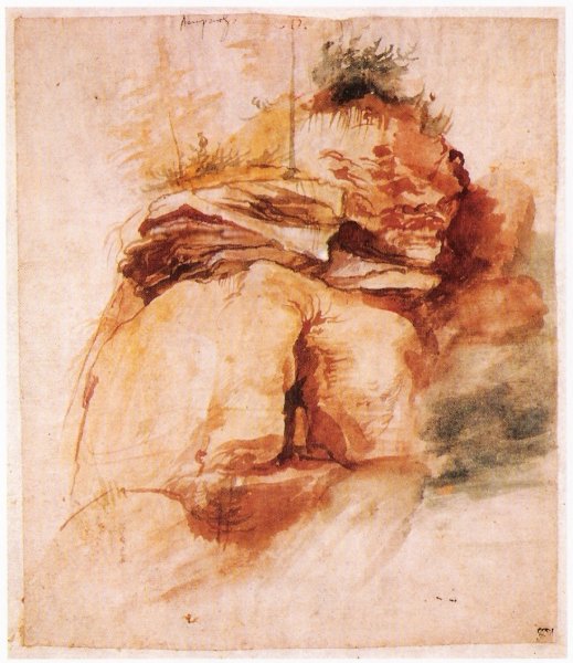 Дюрер одуванчик