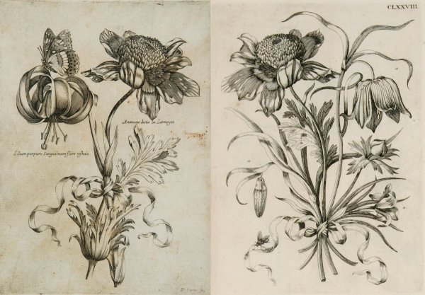 Дюрер автопортрет в 13 лет