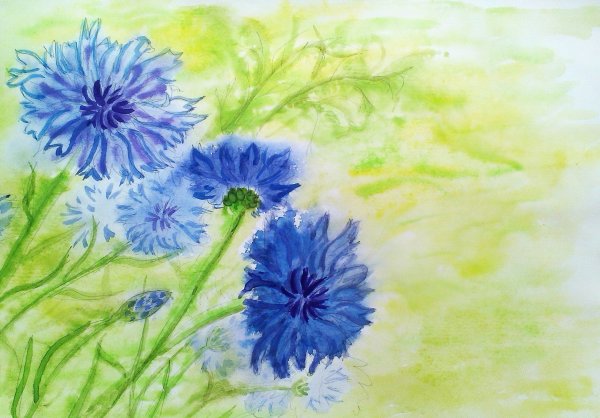 Рисование по мокрой бумаге акварелью