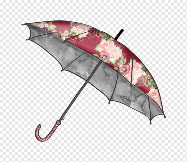 Иллюстрации прозрачный зонтик