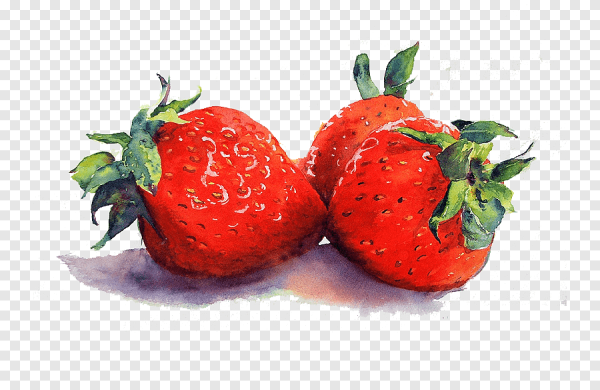 Земляника акварель