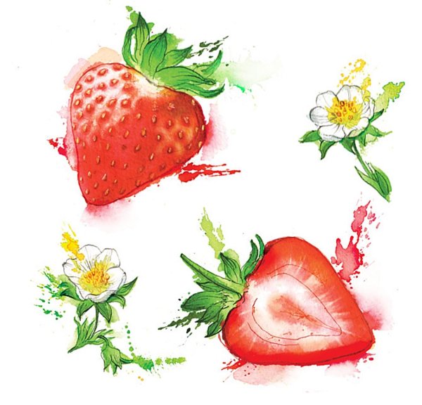 Клубника акварелью