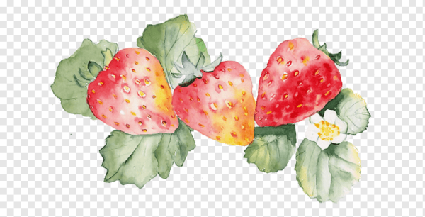 Клубника гуашью