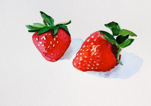 Рисуем клубнику акварелью