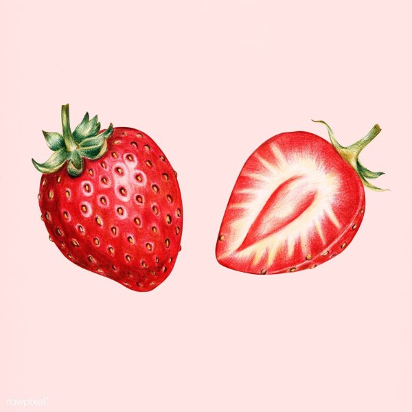 Клубника нарисованная акварелью