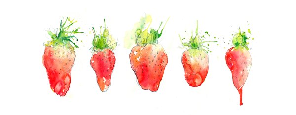 Клубника цветными карандашами