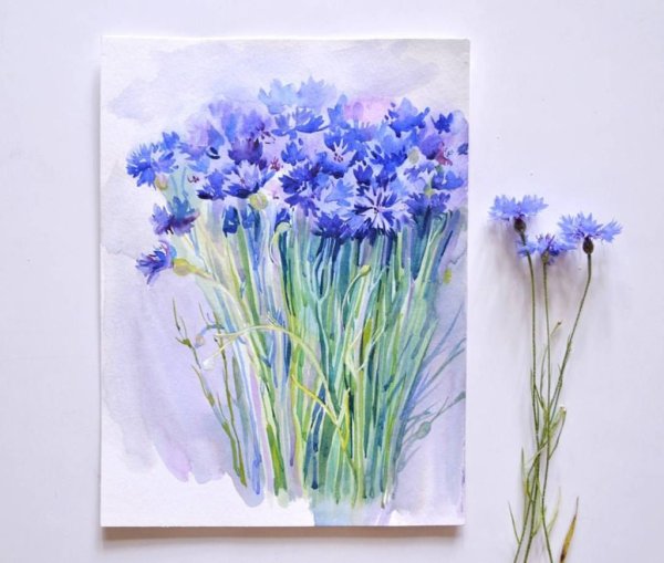 Марина Трушникова акварель васильки