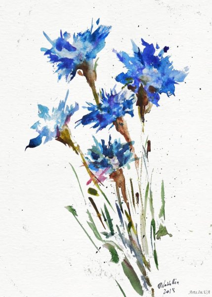 Василек акварель