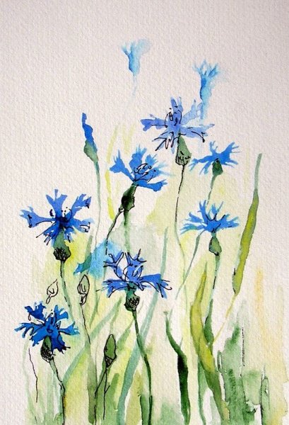 Василек гуашью